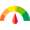 Credit Score